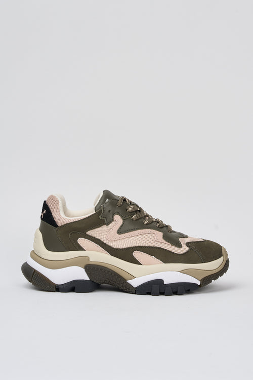 Ash Sneaker Military/eggnug/cipria Donna