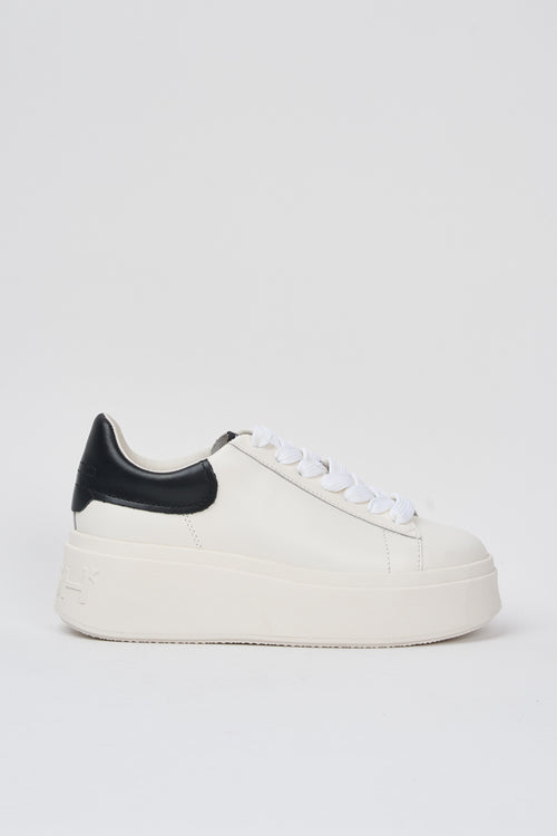 Ash Sneaker White / Black Donna