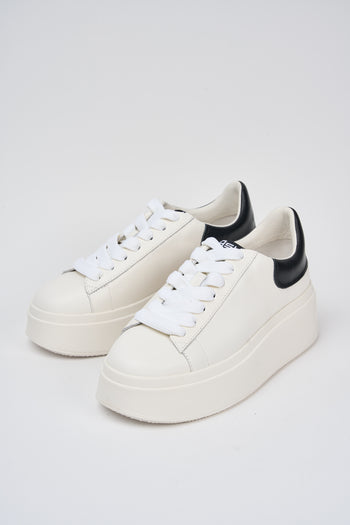 Ash Sneaker White / Black Donna - 5