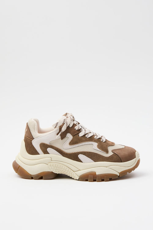 Ash Sneaker Fandango/talc Donna