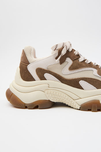Ash Sneaker Fandango/talc Donna - 4
