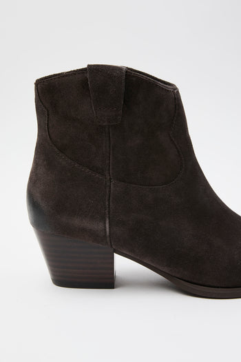 Ash Stivaletto Africa Donna - 4