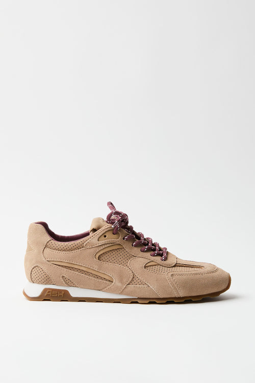 Ash Sneaker Noisette Donna