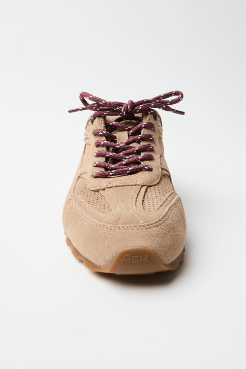 Ash Sneaker Noisette Donna