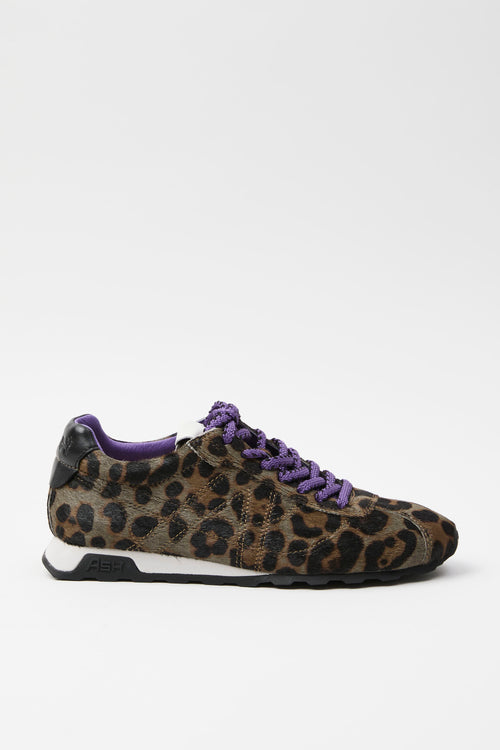 Ash Sneaker Leopard Military Donna