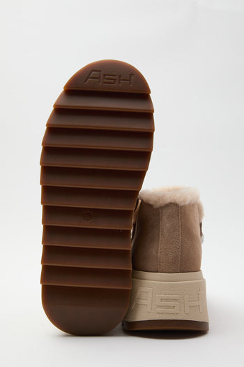 Ash Stivaletto Noisette Donna - 5