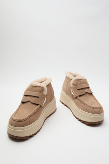 Ash Stivaletto Noisette Donna - 8