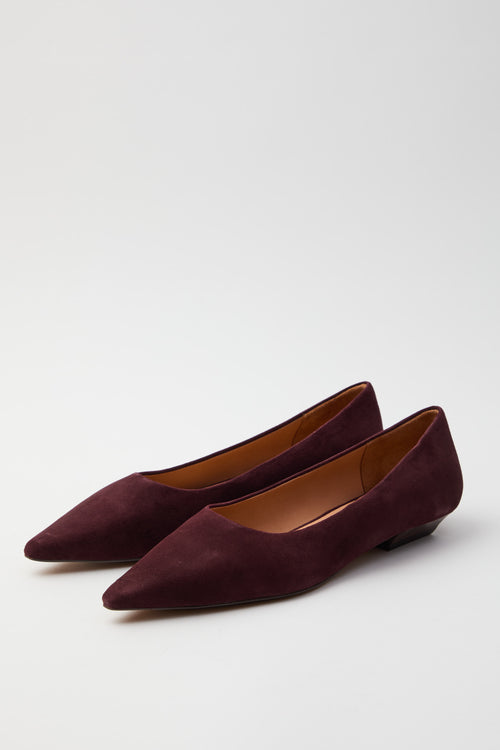 Inuovo Ballerina Melanzana Donna - 2