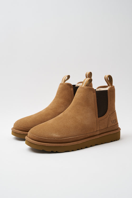 Ugg Stivaletto Chesnut Uomo - 2