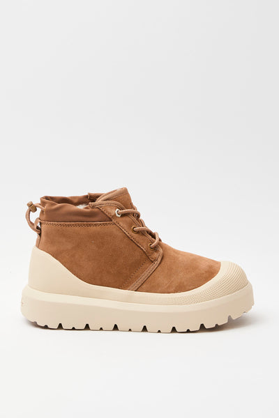 Ugg Scarponcino Chestnut/whitecap Uomo