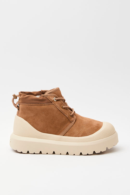 Ugg Scarponcino Chestnut/whitecap Uomo
