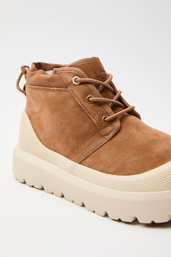 Ugg Scarponcino Chestnut/whitecap Uomo - 5