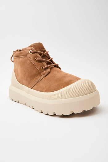 Ugg Scarponcino Chestnut/whitecap Uomo - 6