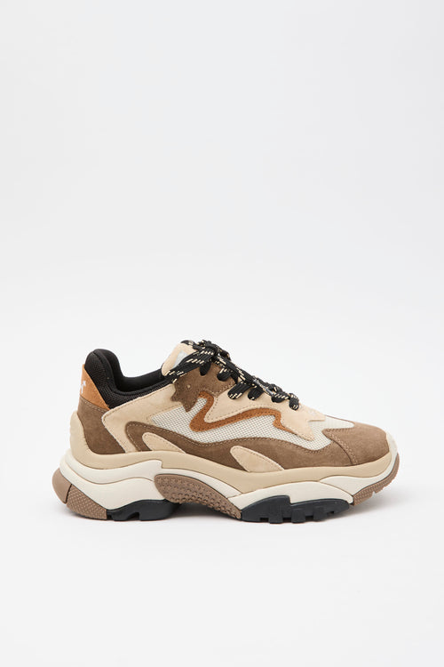 Ash Sneaker Fandango/cappuccino Donna - 1