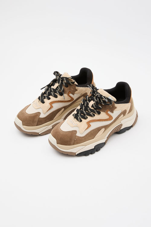 Ash Sneaker Fandango/cappuccino Donna - 2