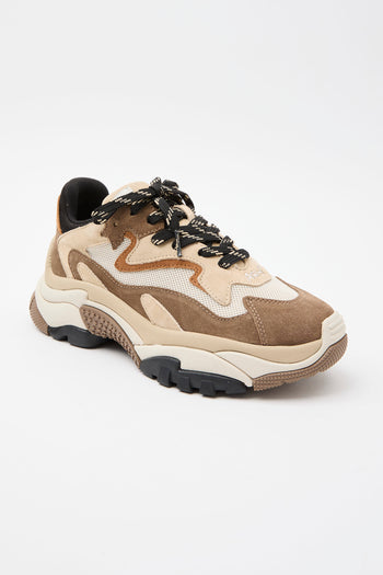 Ash Sneaker Fandango/cappuccino Donna - 4