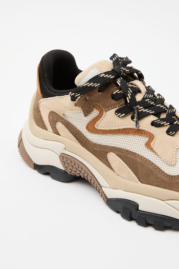 Ash Sneaker Fandango/cappuccino Donna - 5