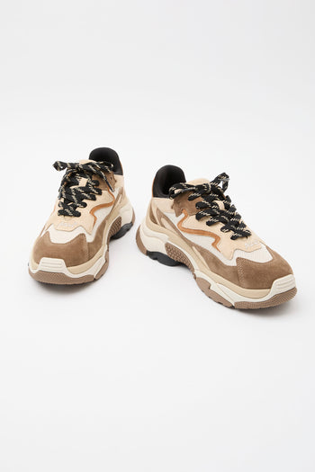 Ash Sneaker Fandango/cappuccino Donna - 8