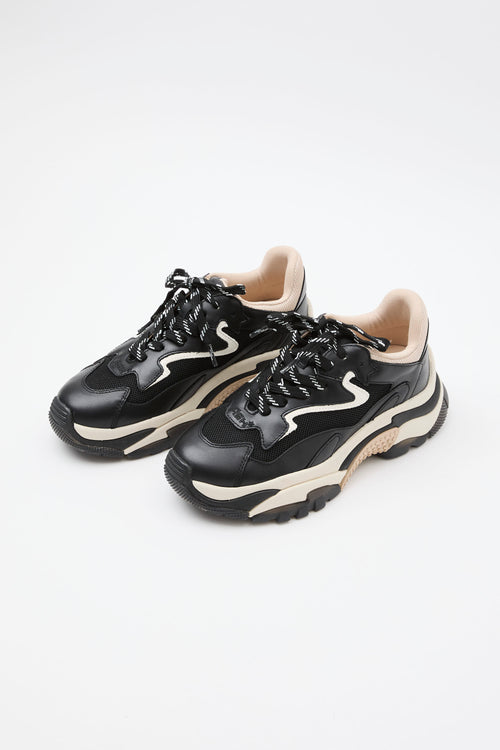 Ash Sneaker Black/eggnug Donna - 2
