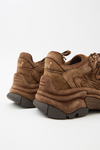 Ash Sneaker Mink Donna - 7