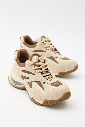 Ash Sneaker Eggnug/talc Donna - 4