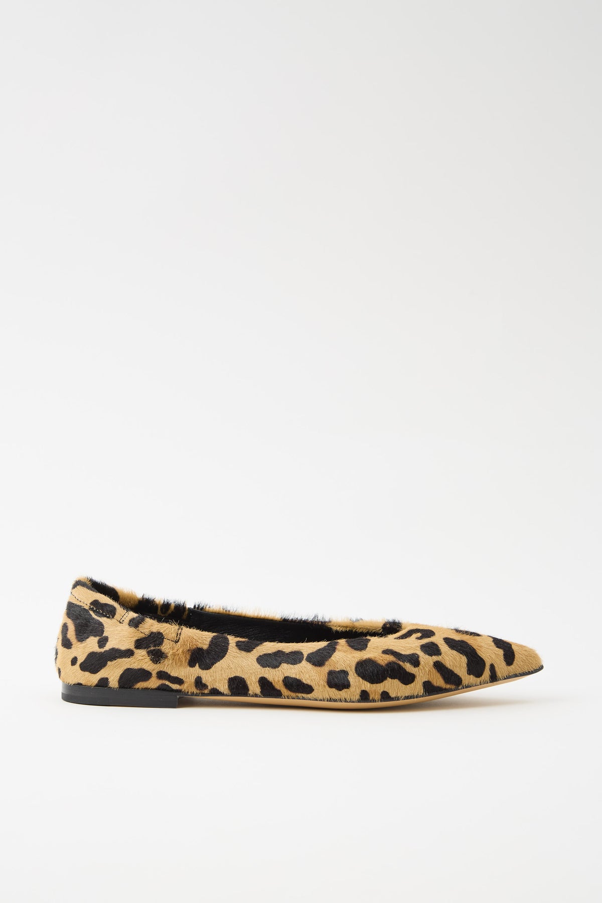 Ballerina Leo/camel Donna — 2