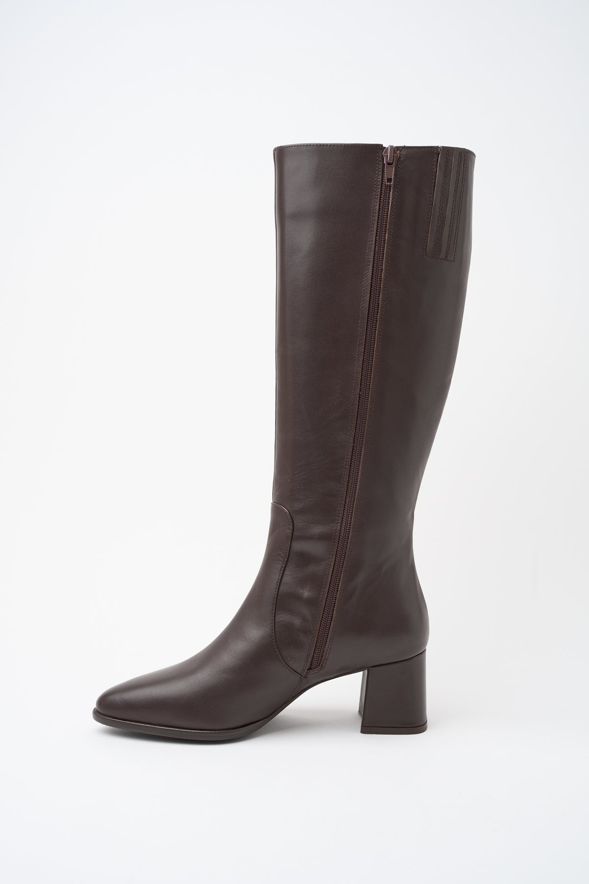 Stivale T. Di Moro Donna — 6