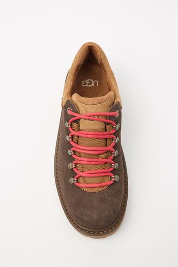 Ugg Sneaker Dusted Cocoa Uomo - 7