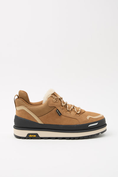 Ugg Sneaker Chestnut Uomo