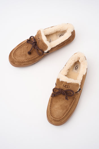 Ugg Slip-on Chestnut Donna - 5