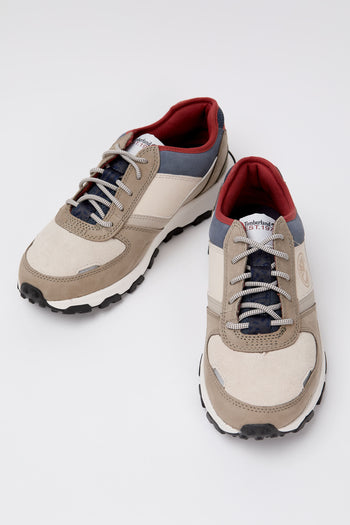 Timberland Sneaker Light Taupe Nubuck Uomo - 5