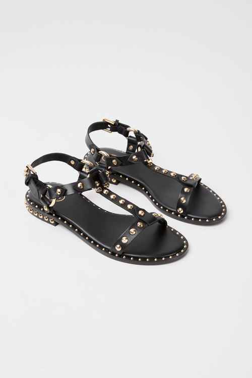 Ash Sandalo Black Donna - 2