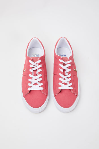 Ralph Lauren Sneaker Berry Uomo - 3