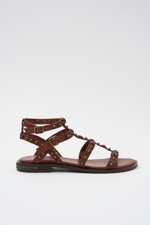 Ash Sandalo Marsala Donna