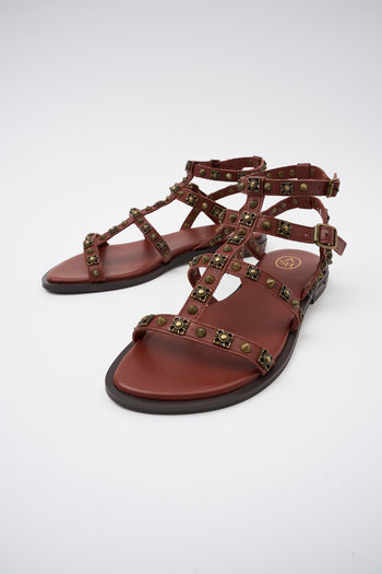 Ash Sandalo Marsala Donna - 6