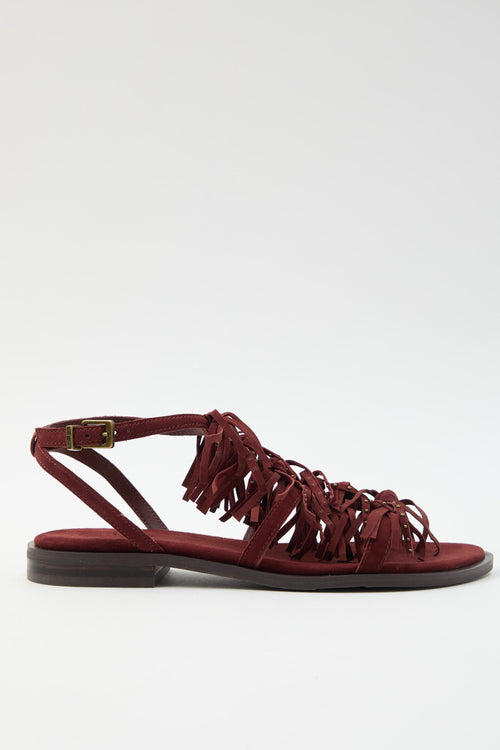 Ash Sandalo Marsala Donna