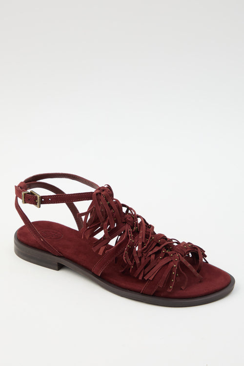 Ash Sandalo Marsala Donna - 2