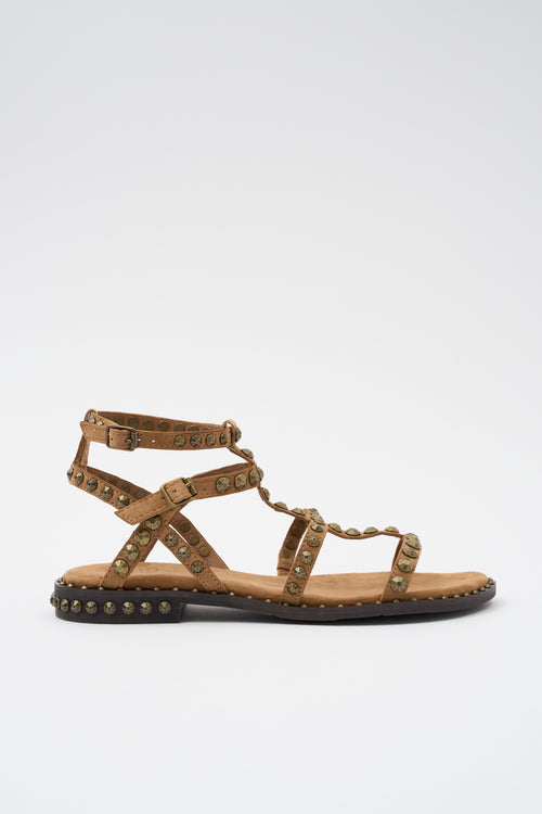 Ash Sandalo Moka Mou/brass Donna