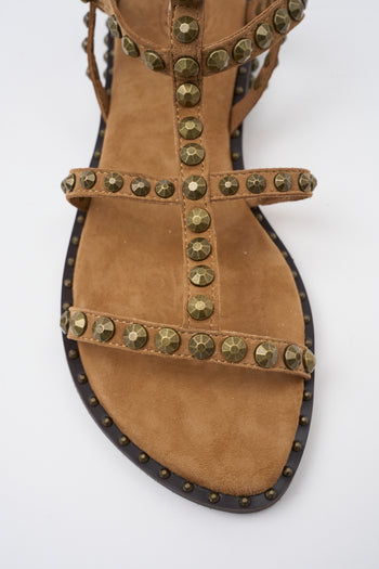 Ash Sandalo Moka Mou/brass Donna - 4