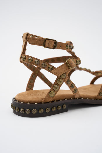 Ash Sandalo Moka Mou/brass Donna - 5