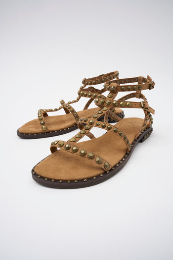 Ash Sandalo Moka Mou/brass Donna - 6