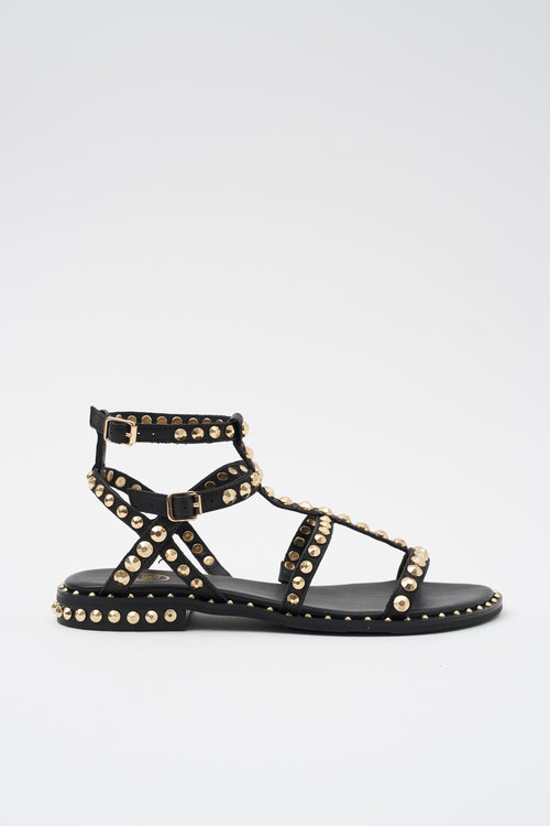 Ash Sandalo Black/gold Donna