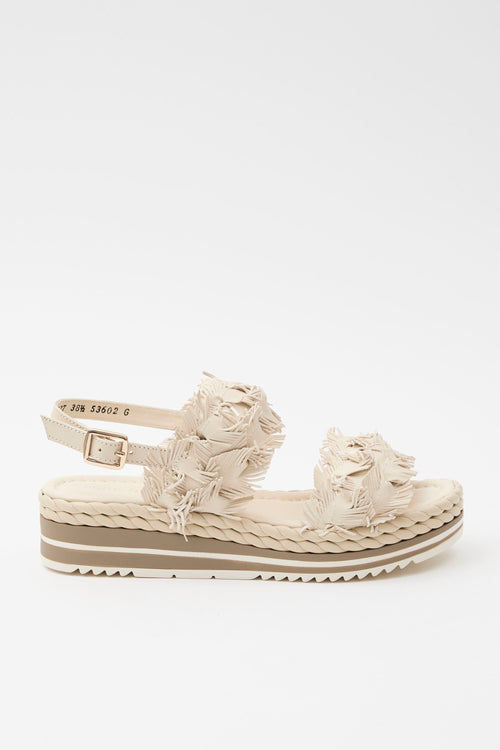 Pons Quintana Zeppa Salinas Donna